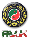 Federazione italiana WuShu Kung-fu